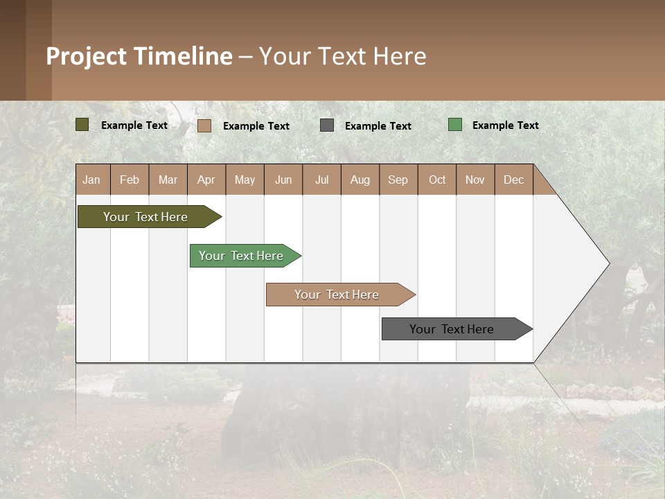A Large Group Of Olive Trees In A Garden PowerPoint Template
