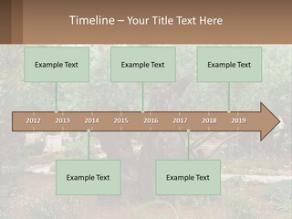 A Large Group Of Olive Trees In A Garden PowerPoint Template