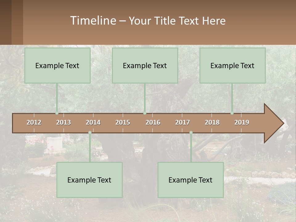A Large Group Of Olive Trees In A Garden PowerPoint Template
