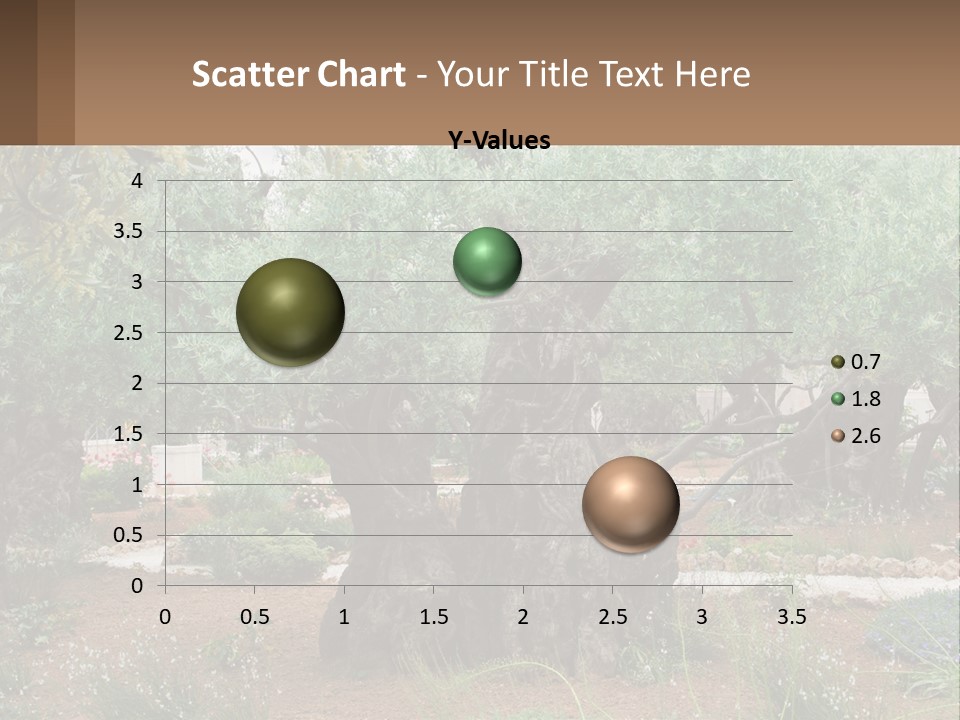 A Large Group Of Olive Trees In A Garden PowerPoint Template