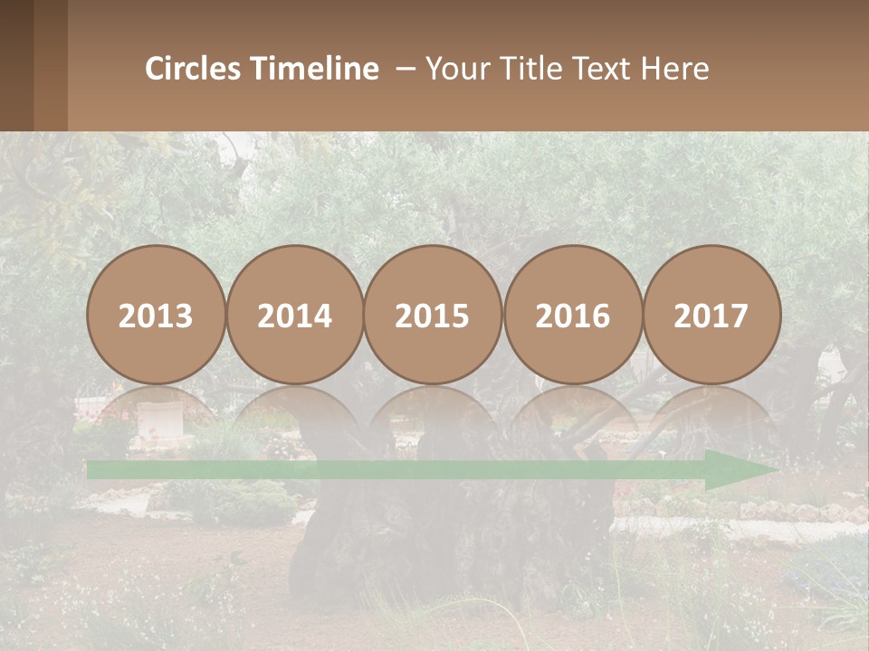 A Large Group Of Olive Trees In A Garden PowerPoint Template