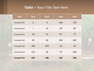 A Large Group Of Olive Trees In A Garden PowerPoint Template