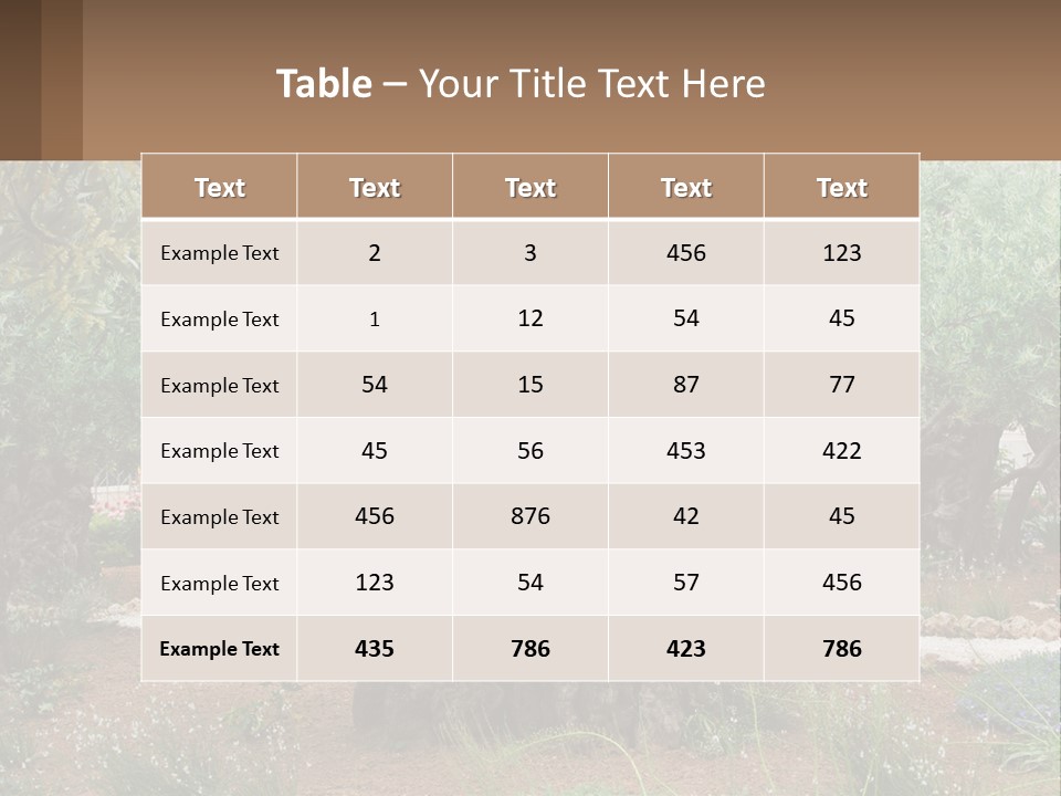 A Large Group Of Olive Trees In A Garden PowerPoint Template