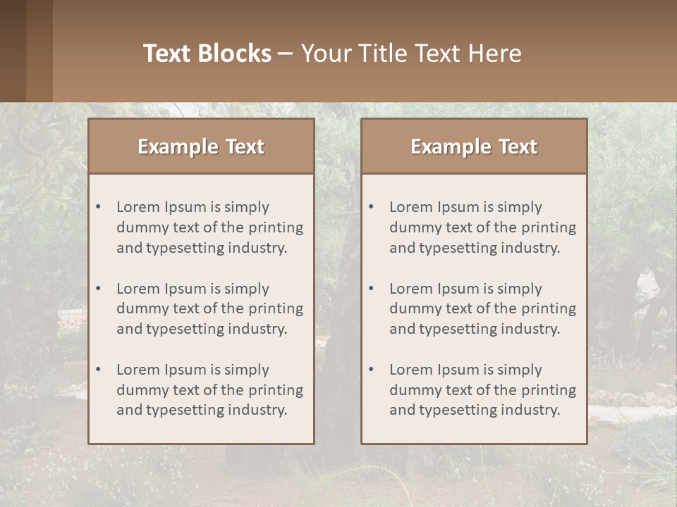 A Large Group Of Olive Trees In A Garden PowerPoint Template