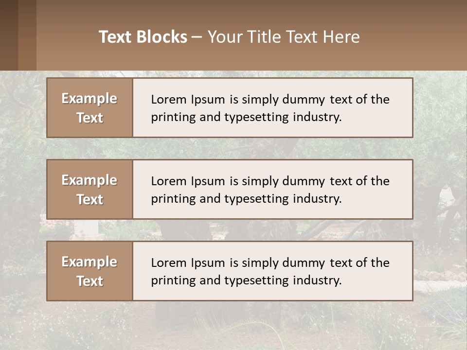 A Large Group Of Olive Trees In A Garden PowerPoint Template