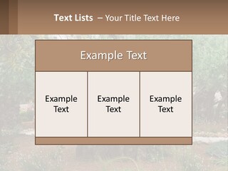 A Large Group Of Olive Trees In A Garden PowerPoint Template