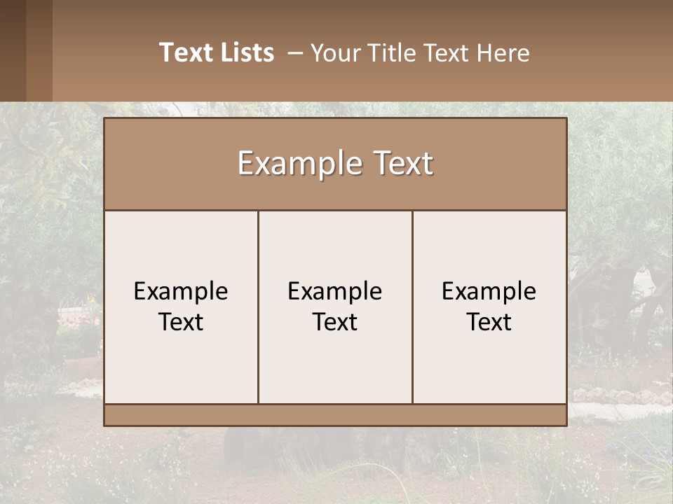 A Large Group Of Olive Trees In A Garden PowerPoint Template