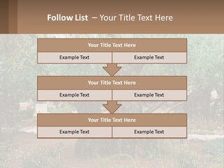 A Large Group Of Olive Trees In A Garden PowerPoint Template