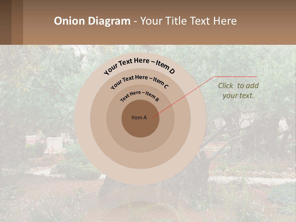 A Large Group Of Olive Trees In A Garden PowerPoint Template