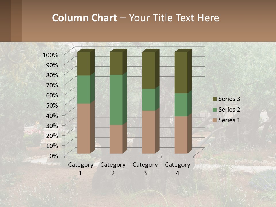A Large Group Of Olive Trees In A Garden PowerPoint Template
