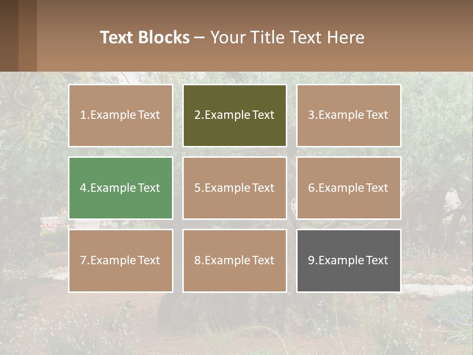 A Large Group Of Olive Trees In A Garden PowerPoint Template