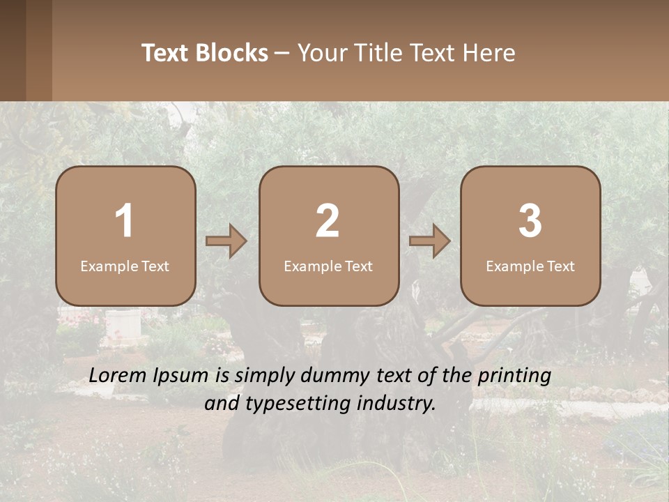 A Large Group Of Olive Trees In A Garden PowerPoint Template