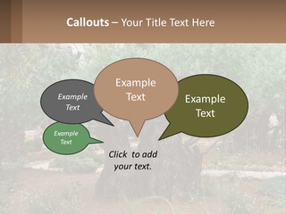 A Large Group Of Olive Trees In A Garden PowerPoint Template