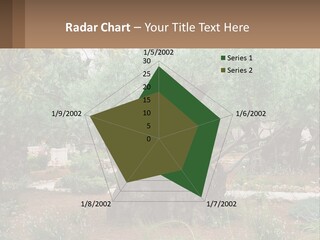 A Large Group Of Olive Trees In A Garden PowerPoint Template