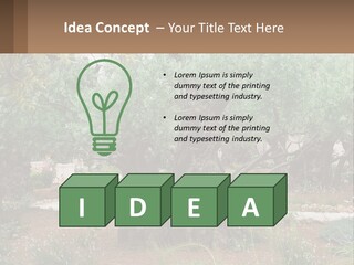 A Large Group Of Olive Trees In A Garden PowerPoint Template