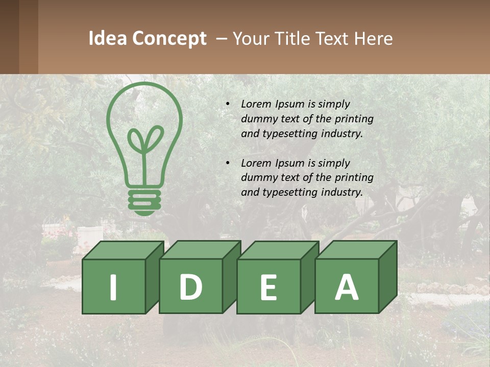 A Large Group Of Olive Trees In A Garden PowerPoint Template