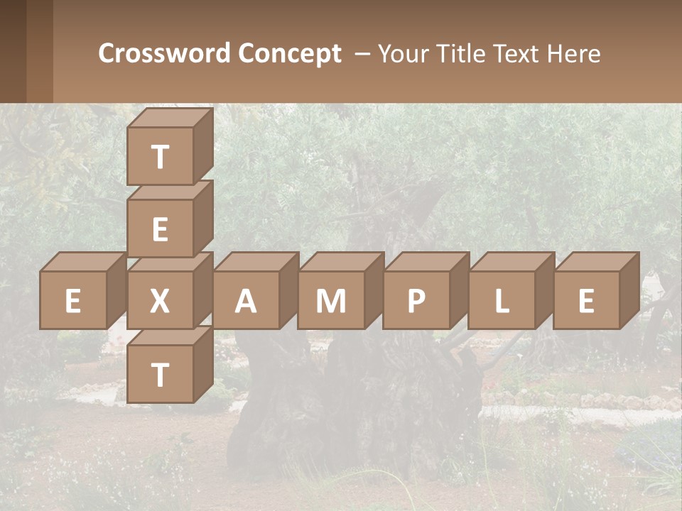 A Large Group Of Olive Trees In A Garden PowerPoint Template