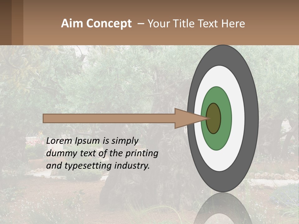 A Large Group Of Olive Trees In A Garden PowerPoint Template