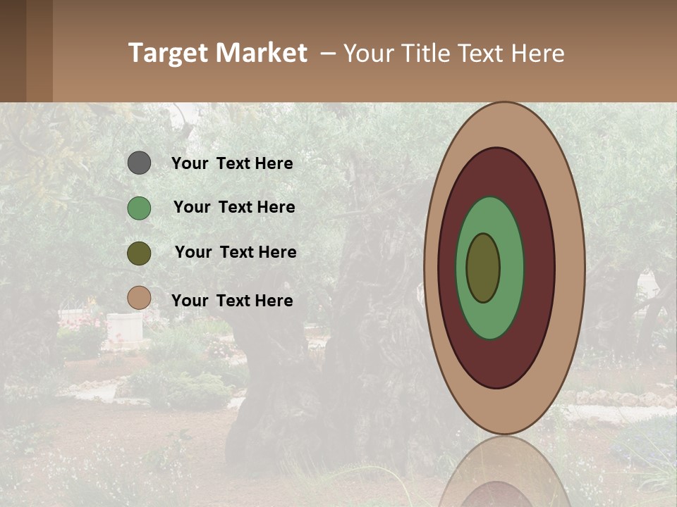 A Large Group Of Olive Trees In A Garden PowerPoint Template