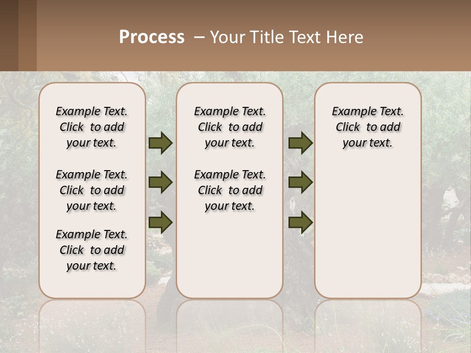 A Large Group Of Olive Trees In A Garden PowerPoint Template