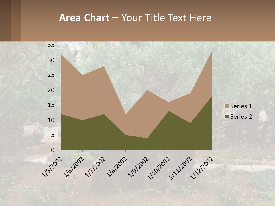 A Large Group Of Olive Trees In A Garden PowerPoint Template