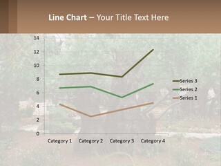 A Large Group Of Olive Trees In A Garden PowerPoint Template