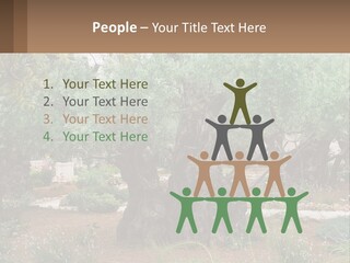 A Large Group Of Olive Trees In A Garden PowerPoint Template