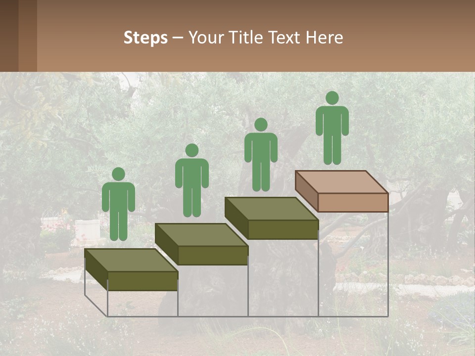 A Large Group Of Olive Trees In A Garden PowerPoint Template