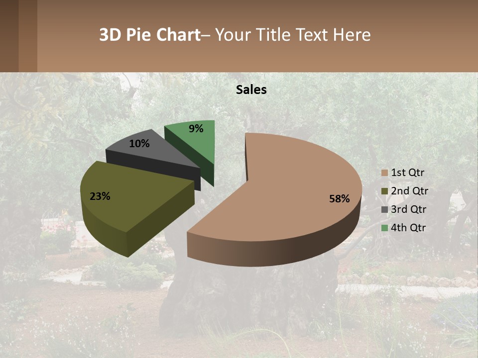 A Large Group Of Olive Trees In A Garden PowerPoint Template