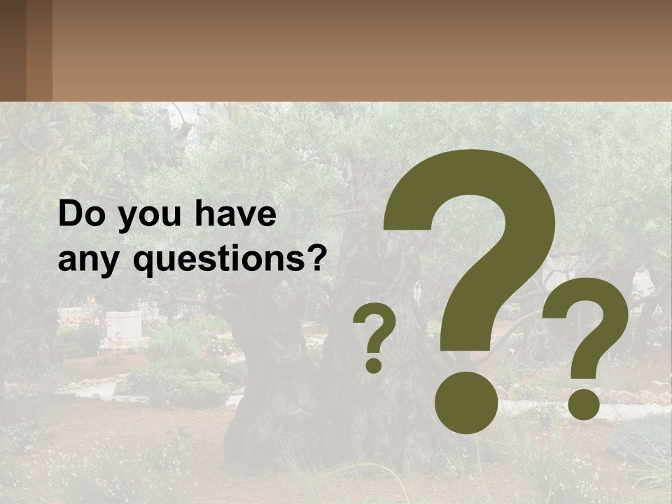 A Large Group Of Olive Trees In A Garden PowerPoint Template