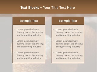 Three Baskets With Rice Inside Of Them On A Table PowerPoint Template