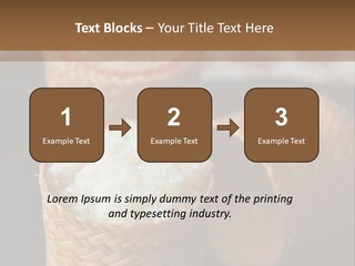 Three Baskets With Rice Inside Of Them On A Table PowerPoint Template