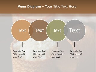 Three Baskets With Rice Inside Of Them On A Table PowerPoint Template