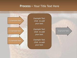 Three Baskets With Rice Inside Of Them On A Table PowerPoint Template