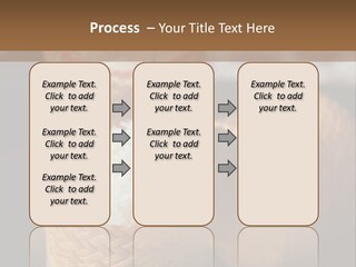 Three Baskets With Rice Inside Of Them On A Table PowerPoint Template