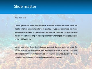 A Group Of Fish Swimming Over A Coral Reef PowerPoint Template