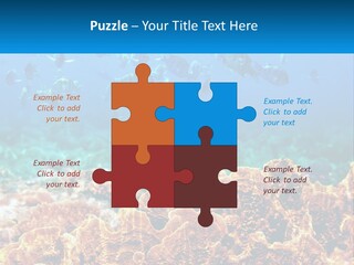 A Group Of Fish Swimming Over A Coral Reef PowerPoint Template