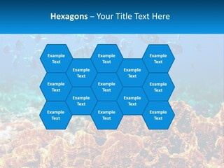 A Group Of Fish Swimming Over A Coral Reef PowerPoint Template