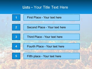 A Group Of Fish Swimming Over A Coral Reef PowerPoint Template