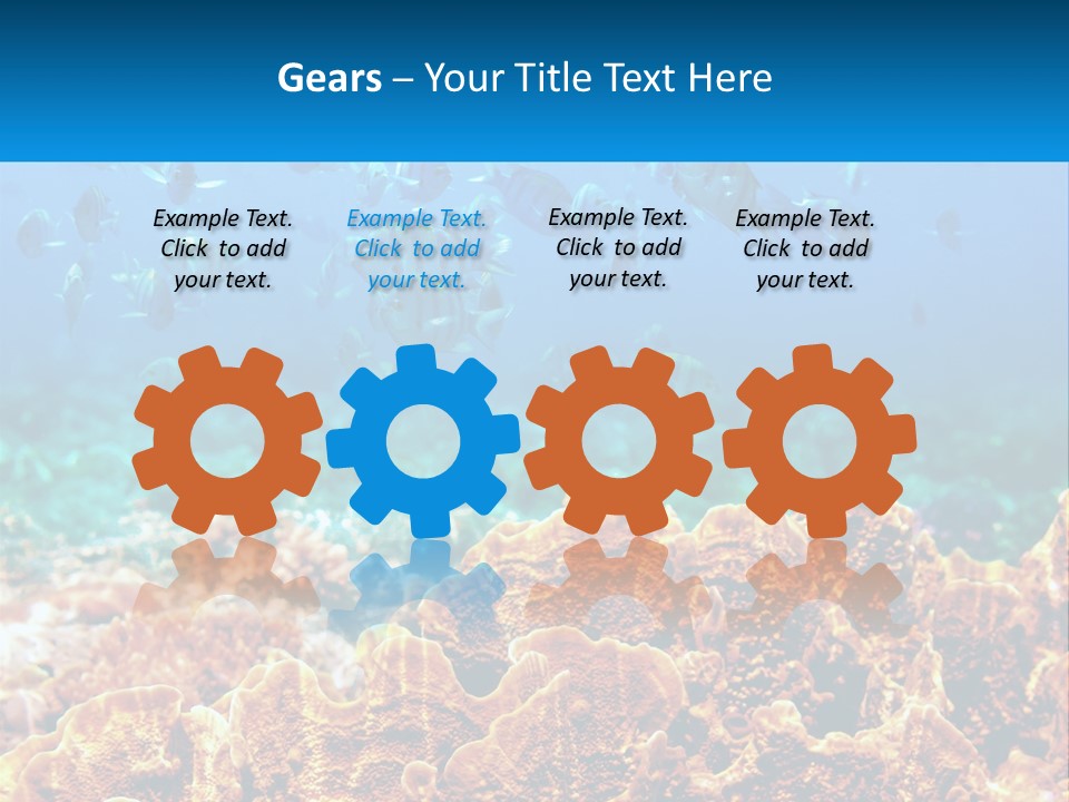 A Group Of Fish Swimming Over A Coral Reef PowerPoint Template