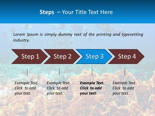 A Group Of Fish Swimming Over A Coral Reef PowerPoint Template