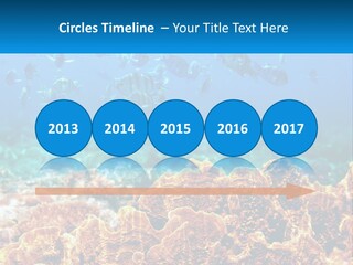 A Group Of Fish Swimming Over A Coral Reef PowerPoint Template