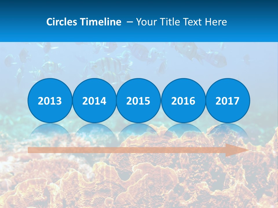 A Group Of Fish Swimming Over A Coral Reef PowerPoint Template