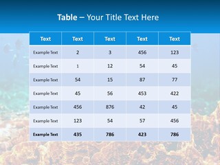 A Group Of Fish Swimming Over A Coral Reef PowerPoint Template