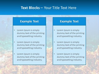 A Group Of Fish Swimming Over A Coral Reef PowerPoint Template