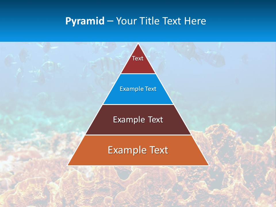 A Group Of Fish Swimming Over A Coral Reef PowerPoint Template