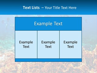 A Group Of Fish Swimming Over A Coral Reef PowerPoint Template