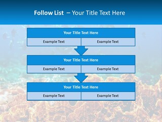 A Group Of Fish Swimming Over A Coral Reef PowerPoint Template