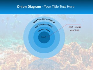 A Group Of Fish Swimming Over A Coral Reef PowerPoint Template