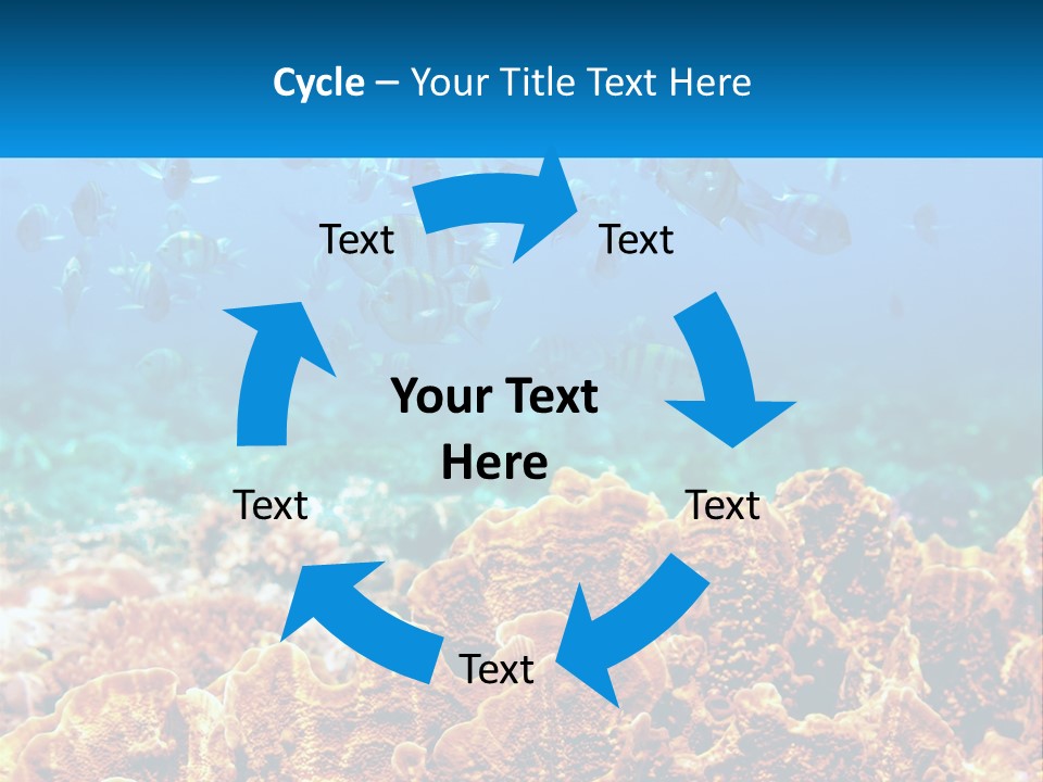 A Group Of Fish Swimming Over A Coral Reef PowerPoint Template